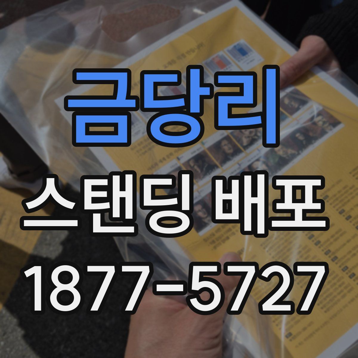 금당리 스탠딩 배포