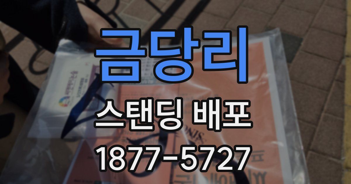 금당리 스탠딩 배포