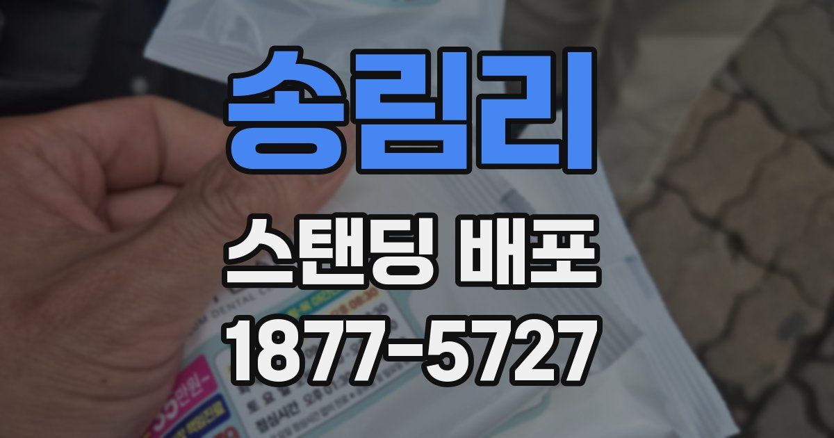 송림리 스탠딩 배포