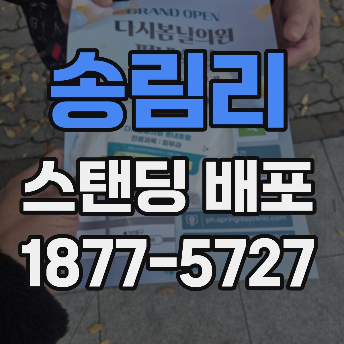 송림리 스탠딩 배포