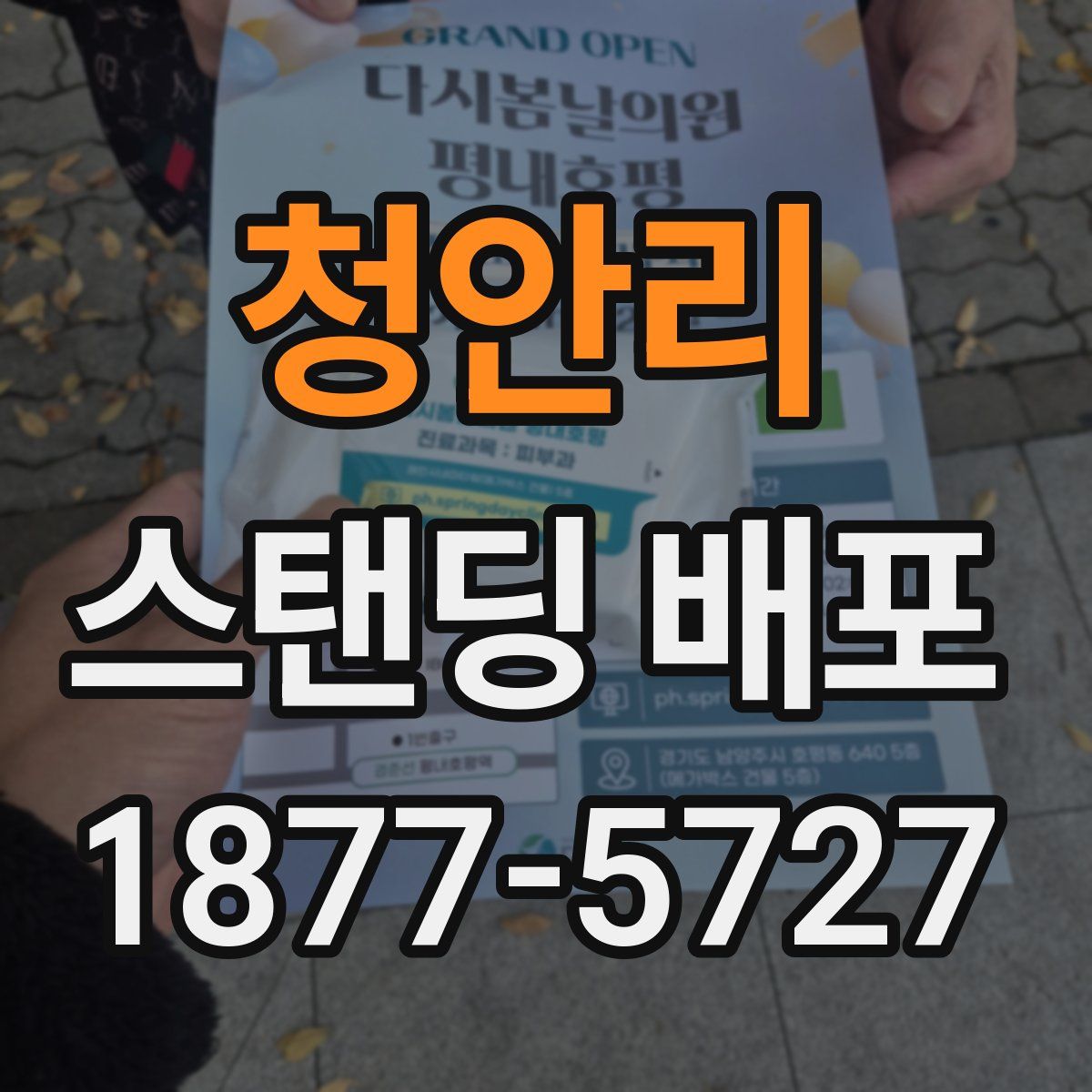 청안리 스탠딩 배포