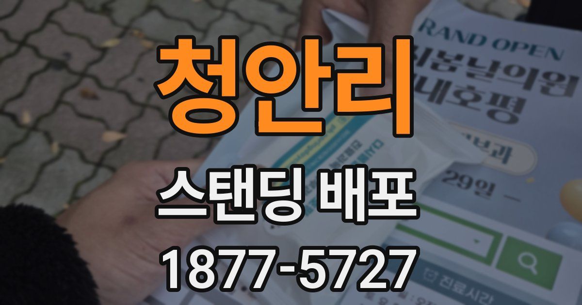 청안리 스탠딩 배포