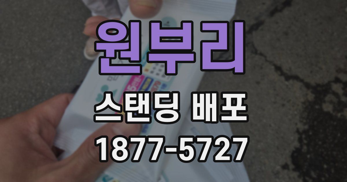 원부리 스탠딩 배포