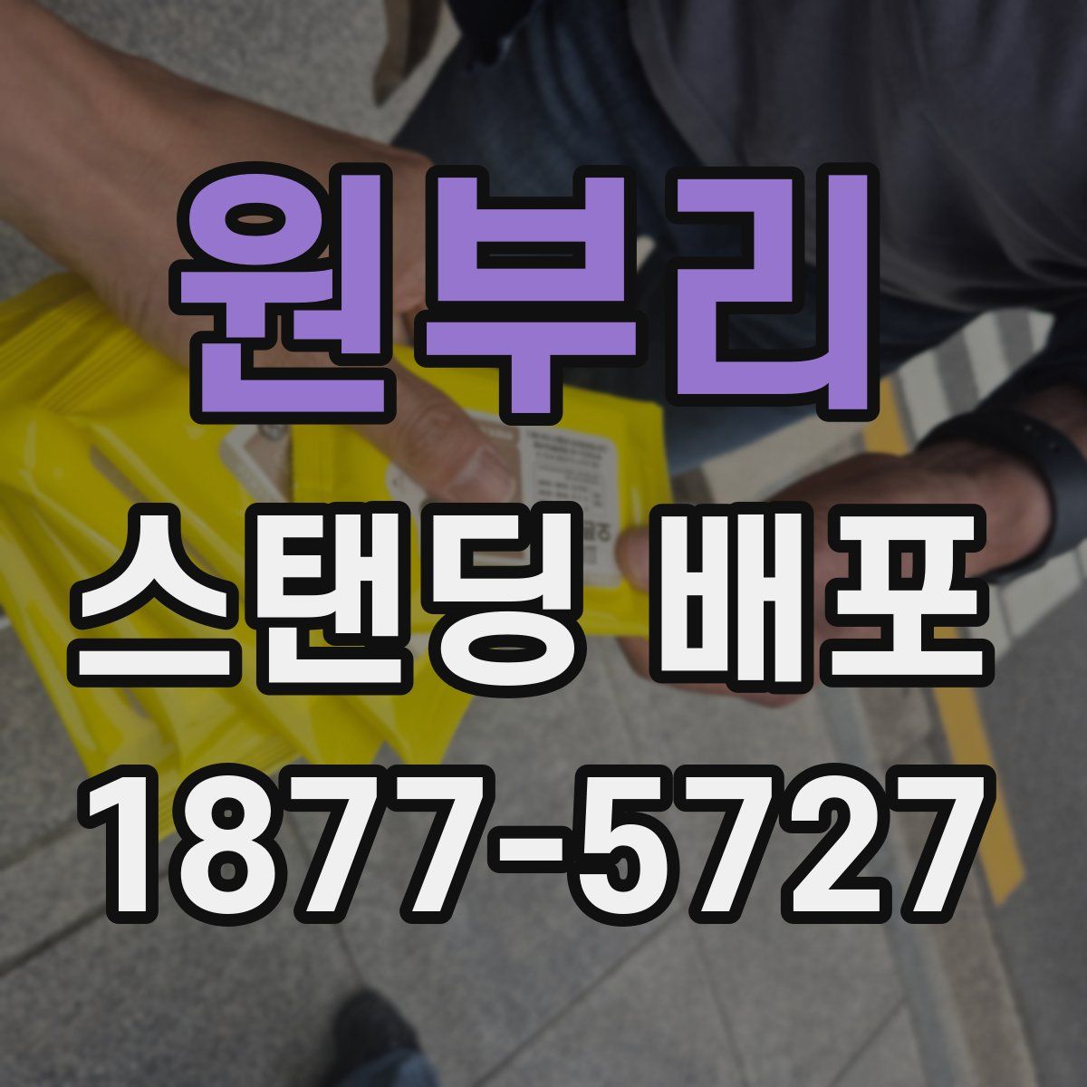원부리 스탠딩 배포