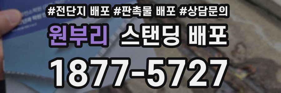 원부리 스탠딩 배포