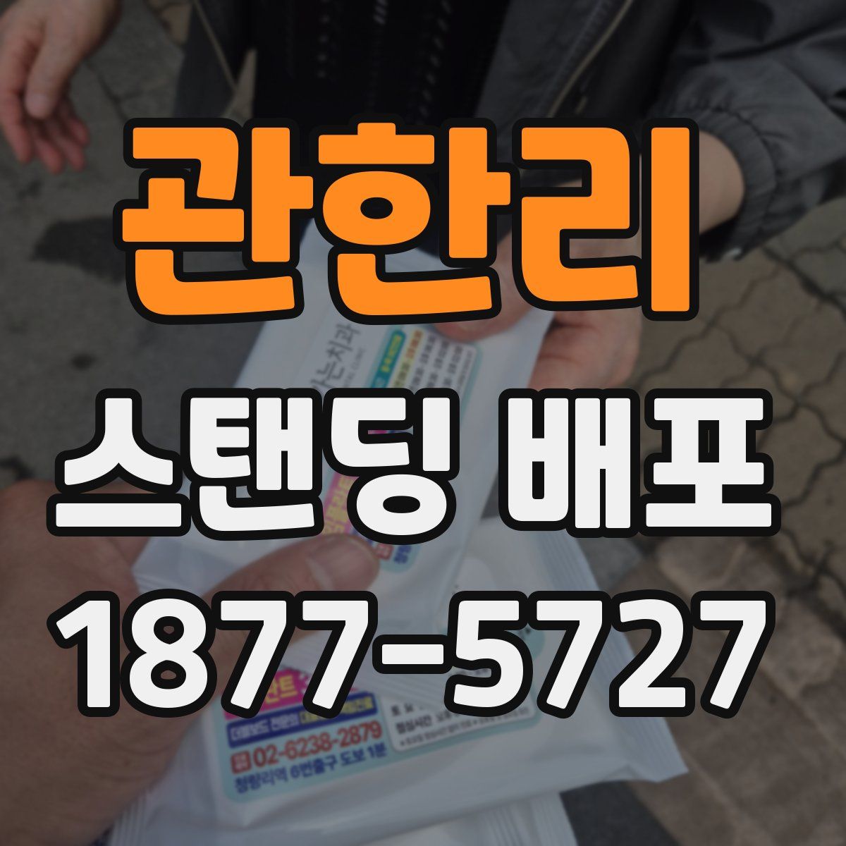 관한리 스탠딩 배포