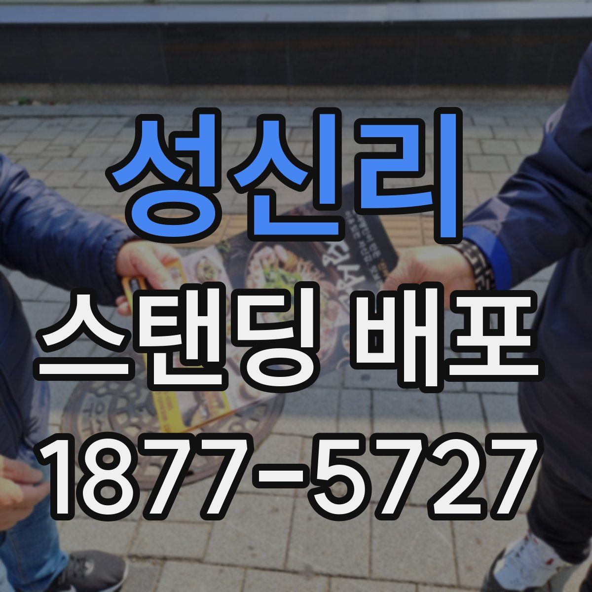 성신리 스탠딩 배포