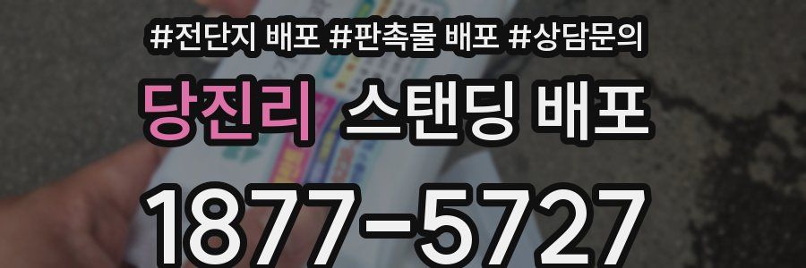 당진리 스탠딩 배포