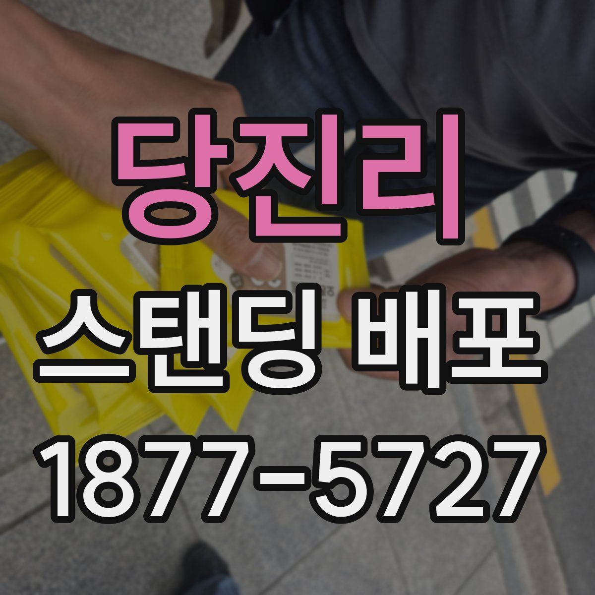 당진리 스탠딩 배포