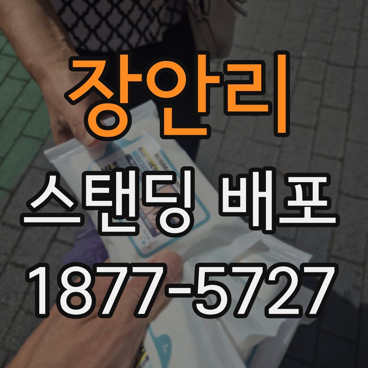 장안리 스탠딩 배포