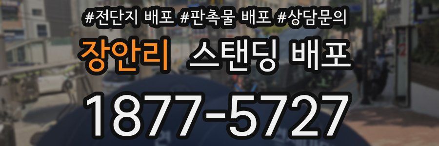 장안리 스탠딩 배포
