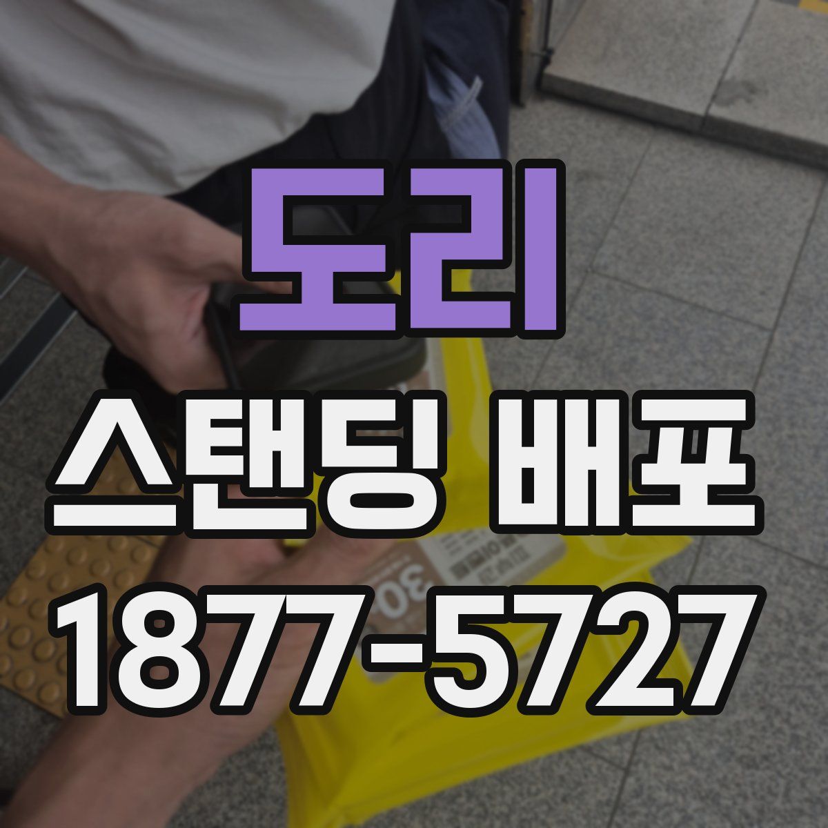 도리 스탠딩 배포