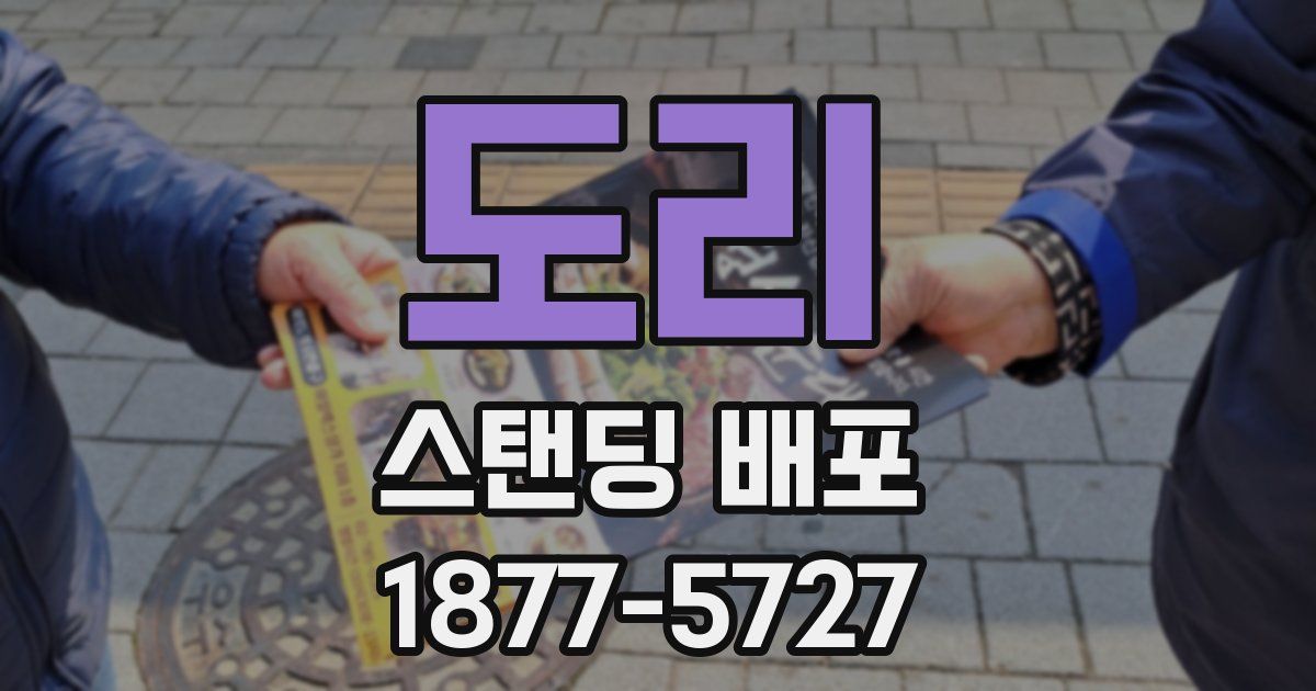 도리 스탠딩 배포