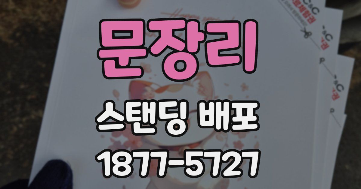 문장리 스탠딩 배포
