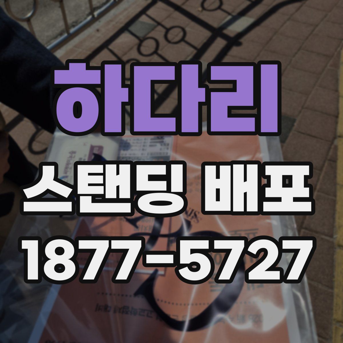 하다리 스탠딩 배포