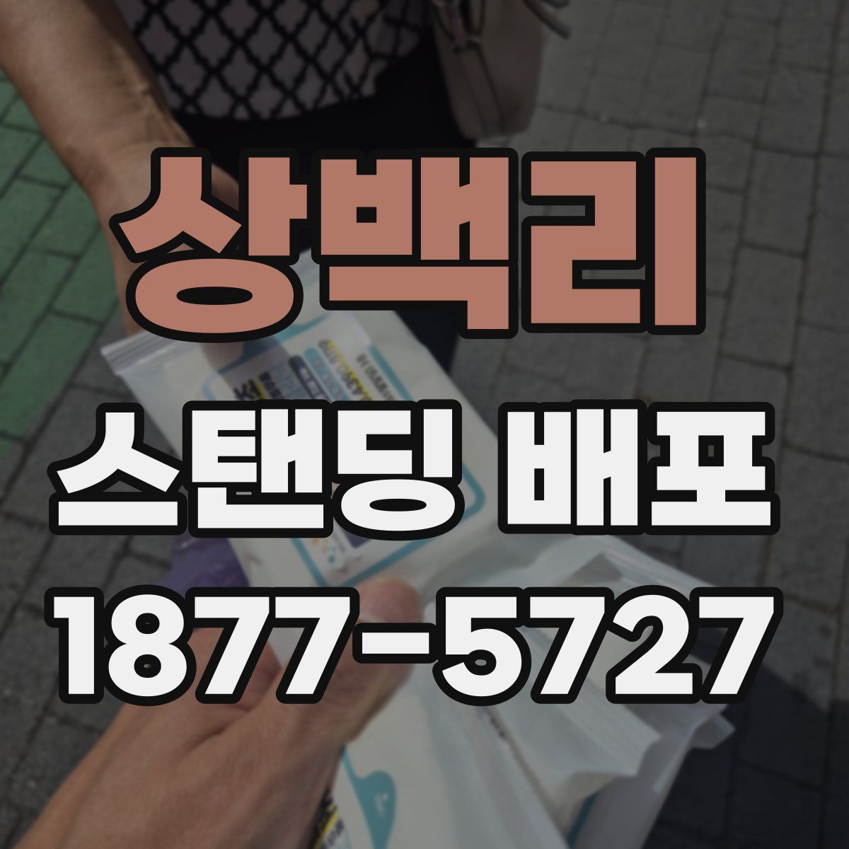 상백리 스탠딩 배포