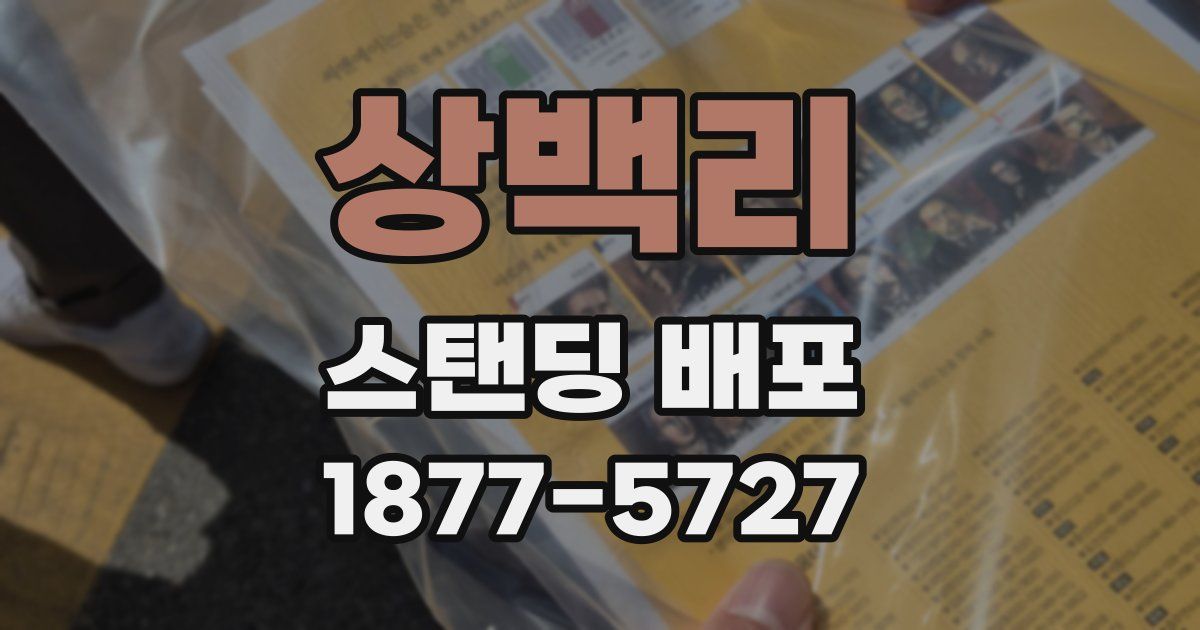 상백리 스탠딩 배포