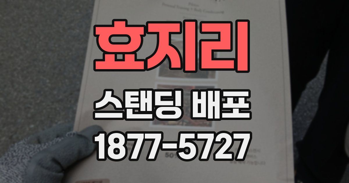 효지리 스탠딩 배포
