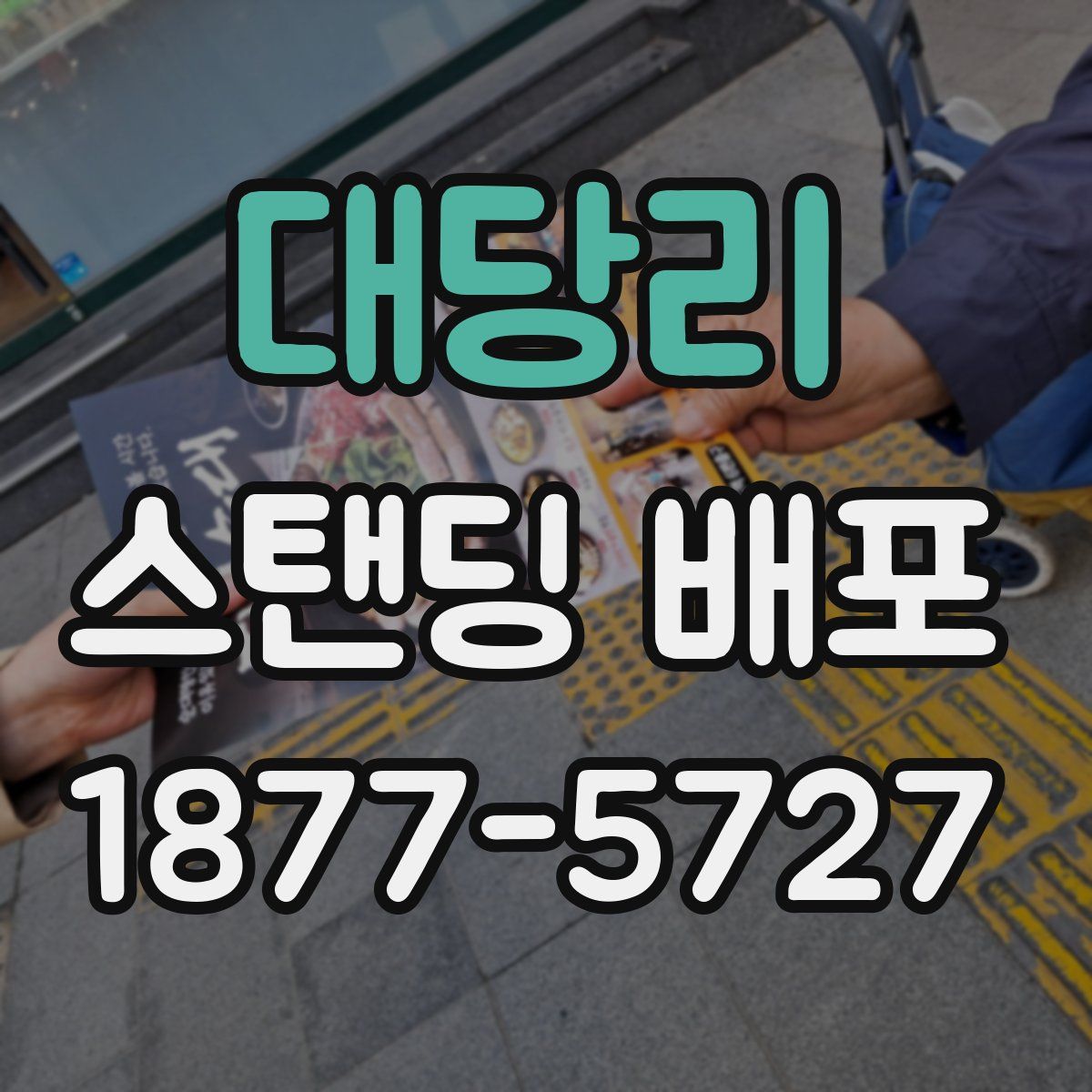 대당리 스탠딩 배포
