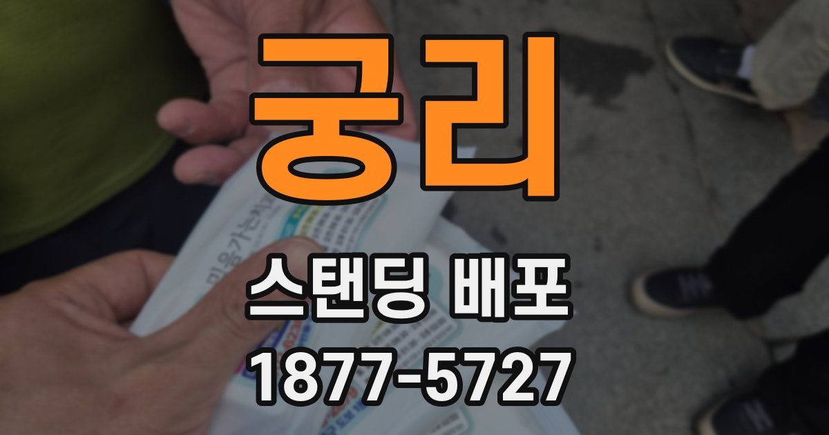 궁리 스탠딩 배포