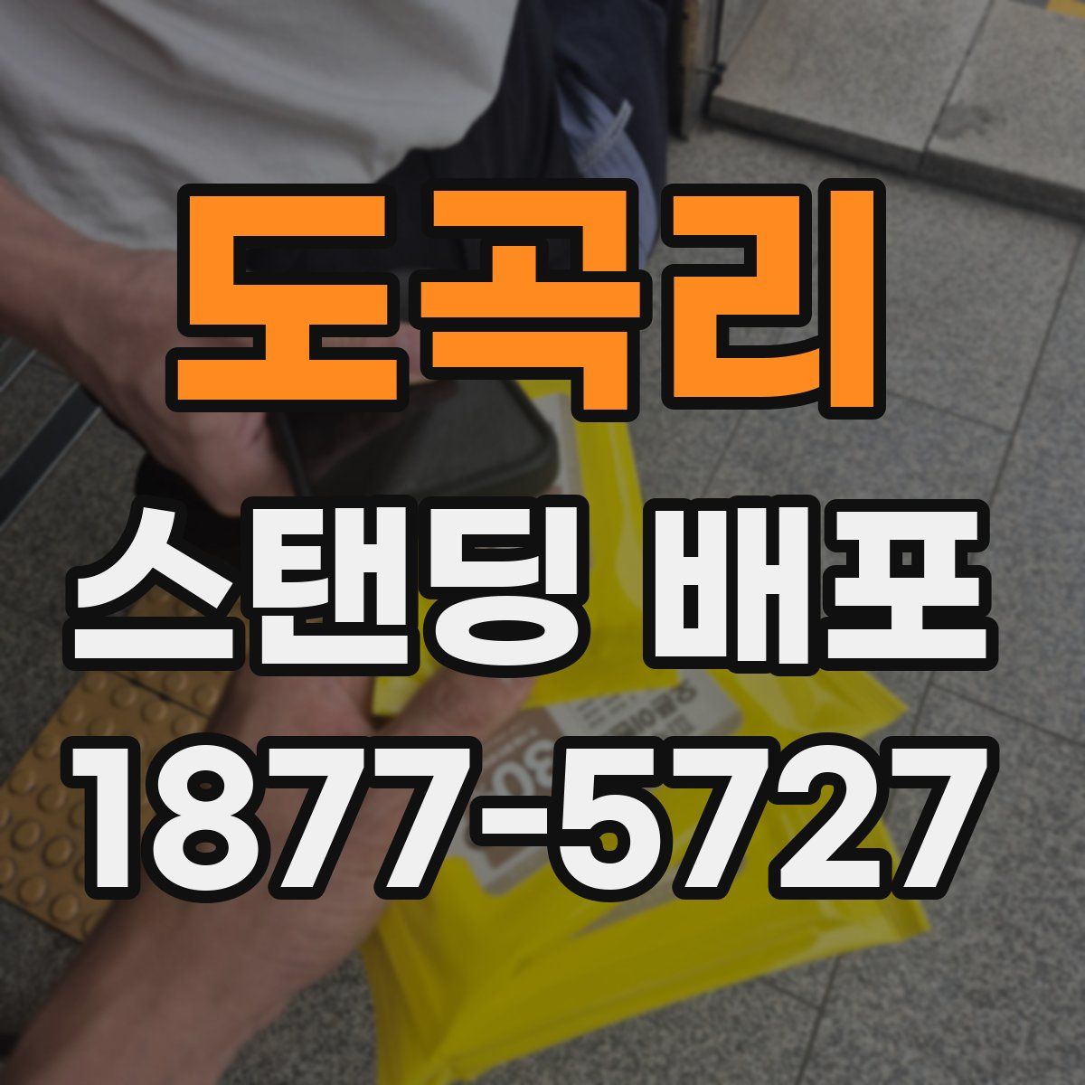도곡리 스탠딩 배포