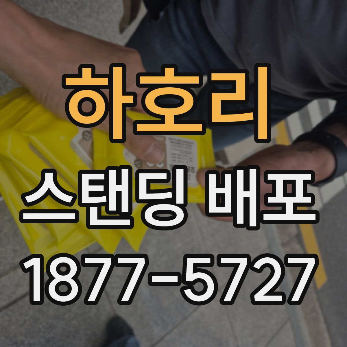 하호리 스탠딩 배포