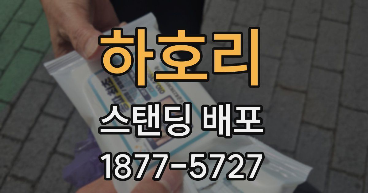 하호리 스탠딩 배포