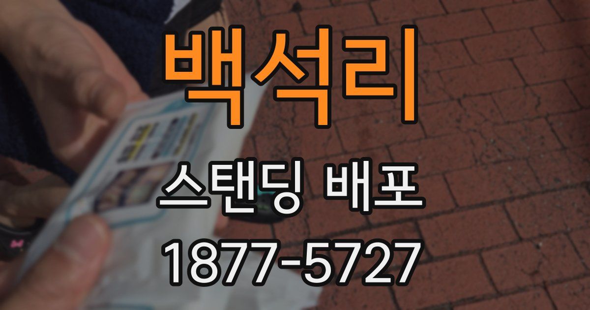 백석리 스탠딩 배포