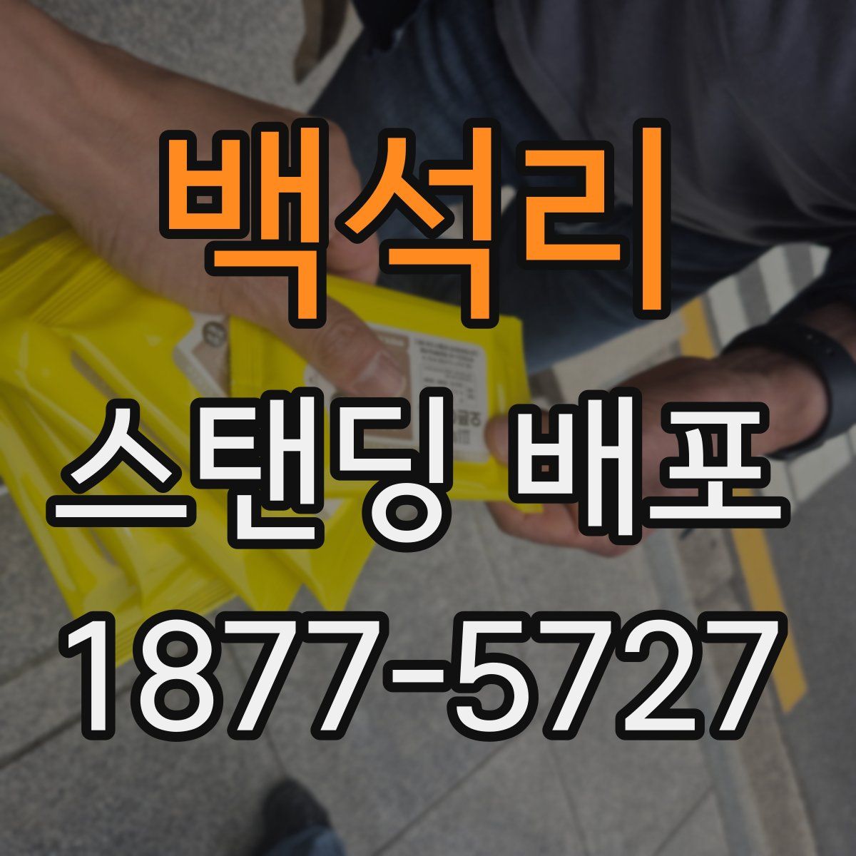 백석리 스탠딩 배포