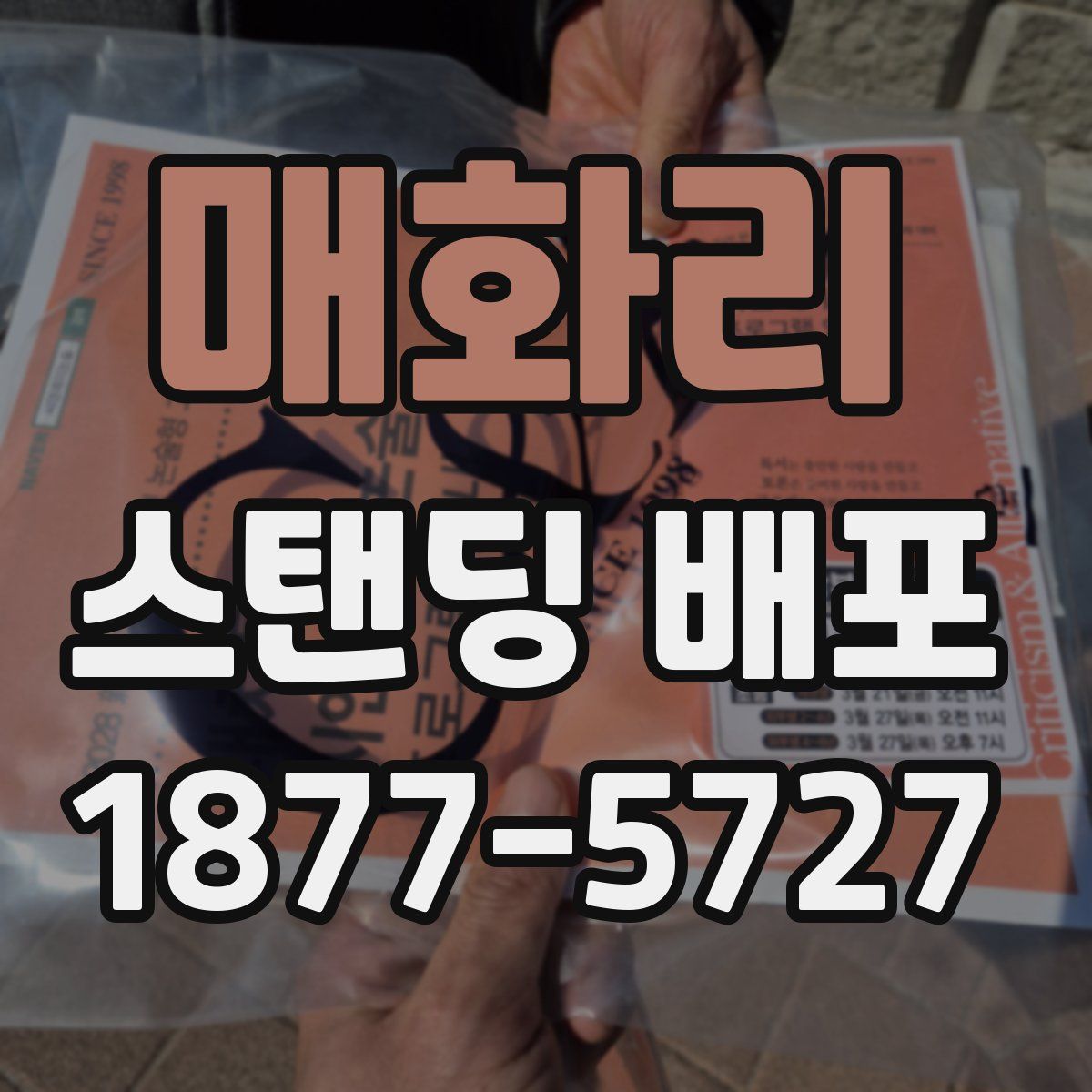 매화리 스탠딩 배포