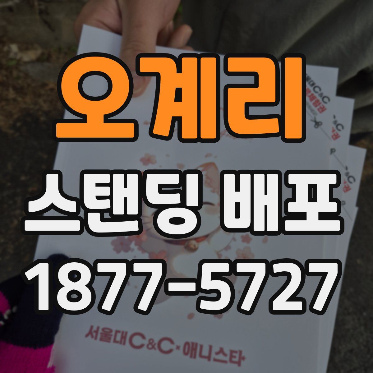 오계리 스탠딩 배포