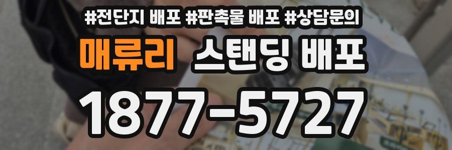 매류리 스탠딩 배포