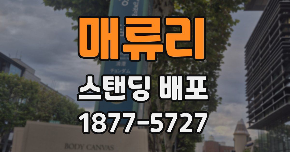 매류리 스탠딩 배포