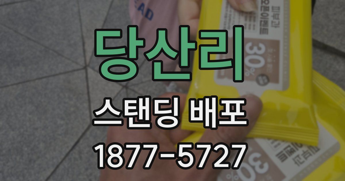 당산리 스탠딩 배포