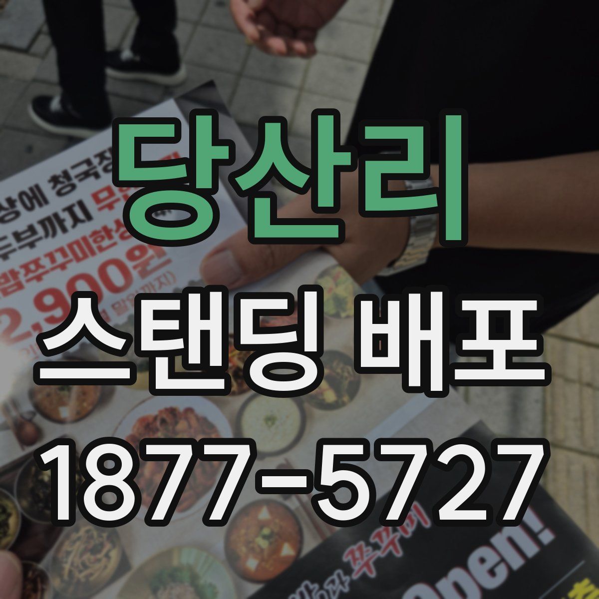 당산리 스탠딩 배포