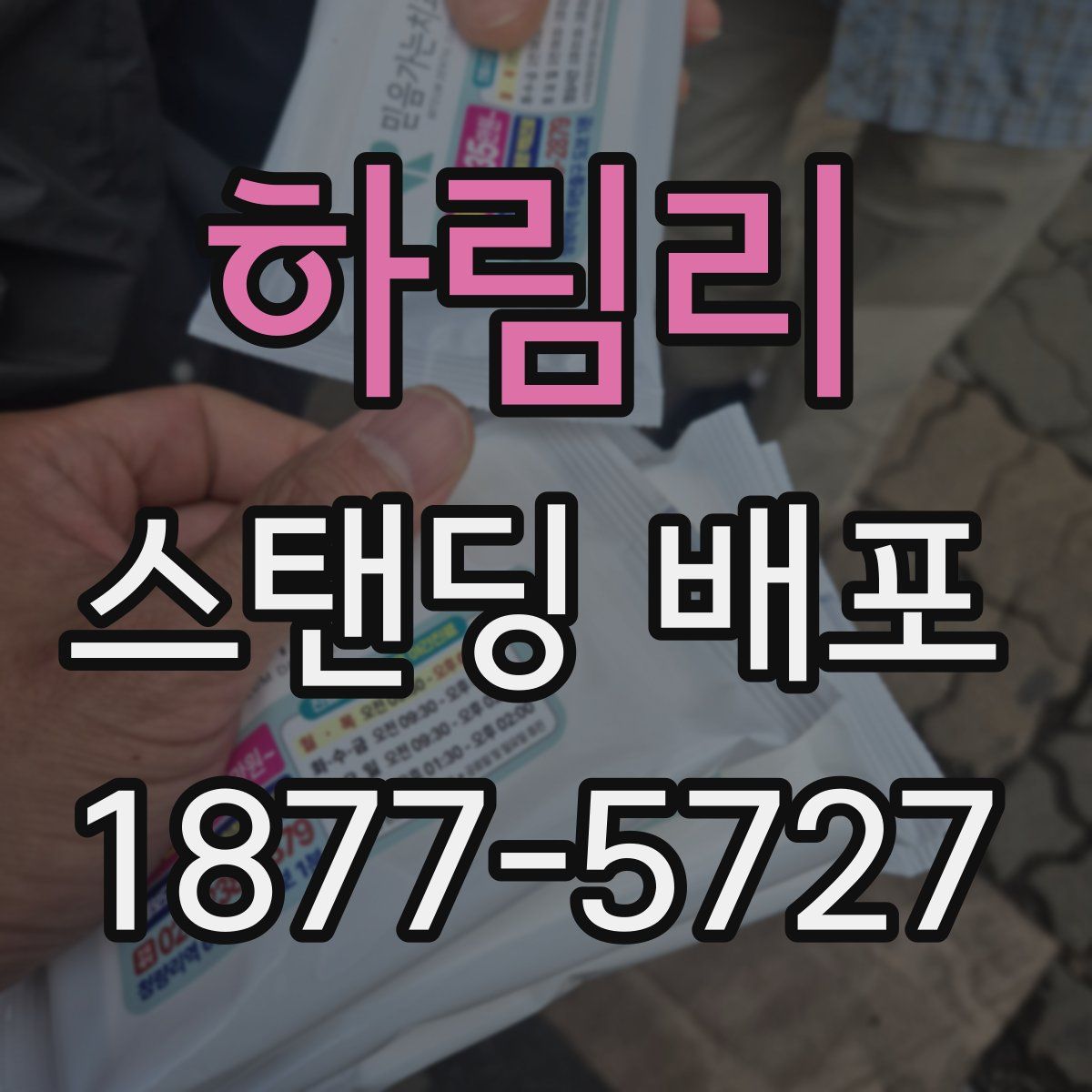 하림리 스탠딩 배포