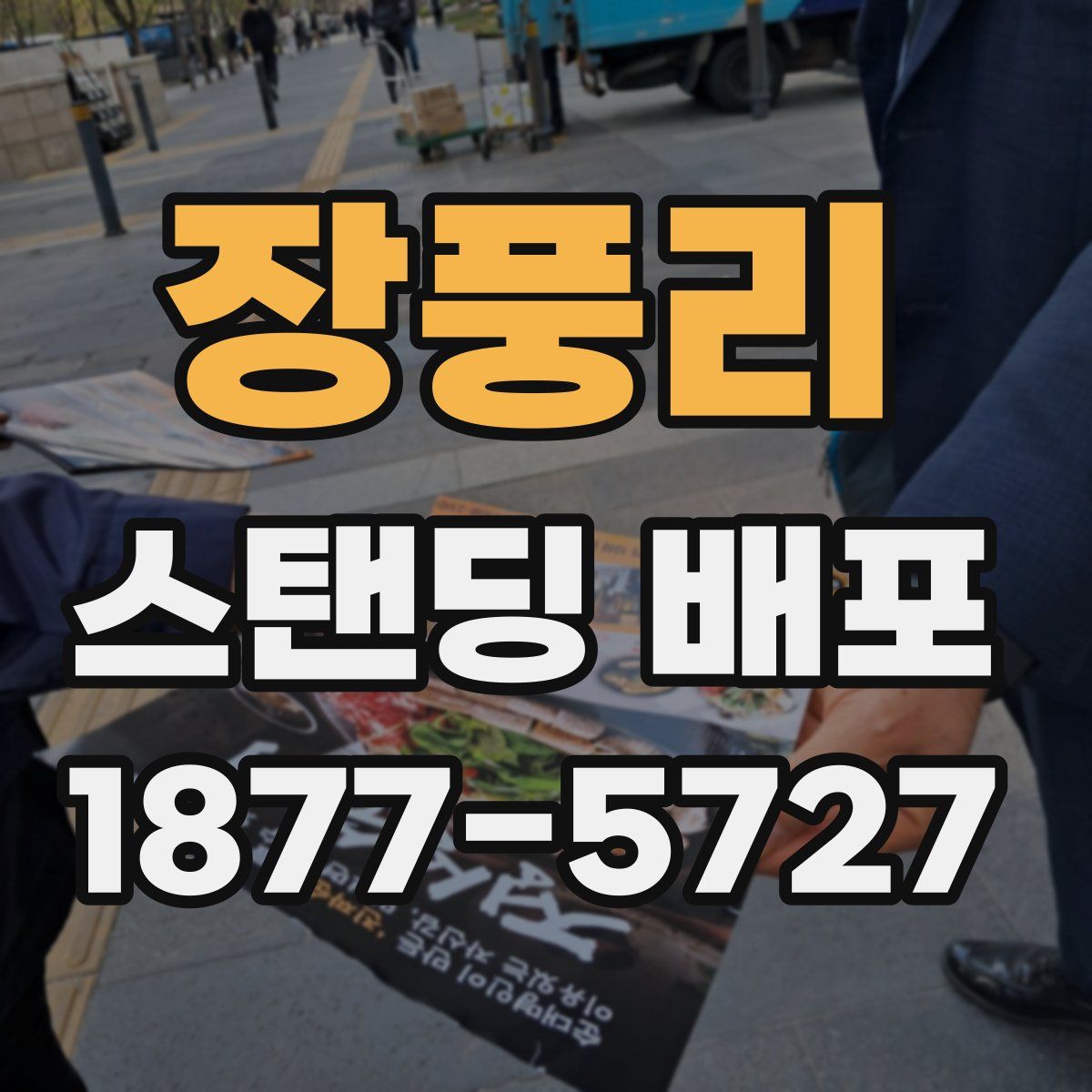장풍리 스탠딩 배포