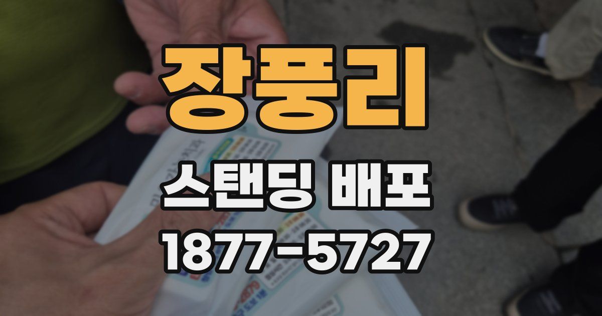 장풍리 스탠딩 배포