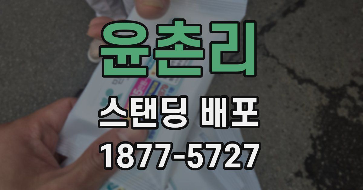 윤촌리 스탠딩 배포