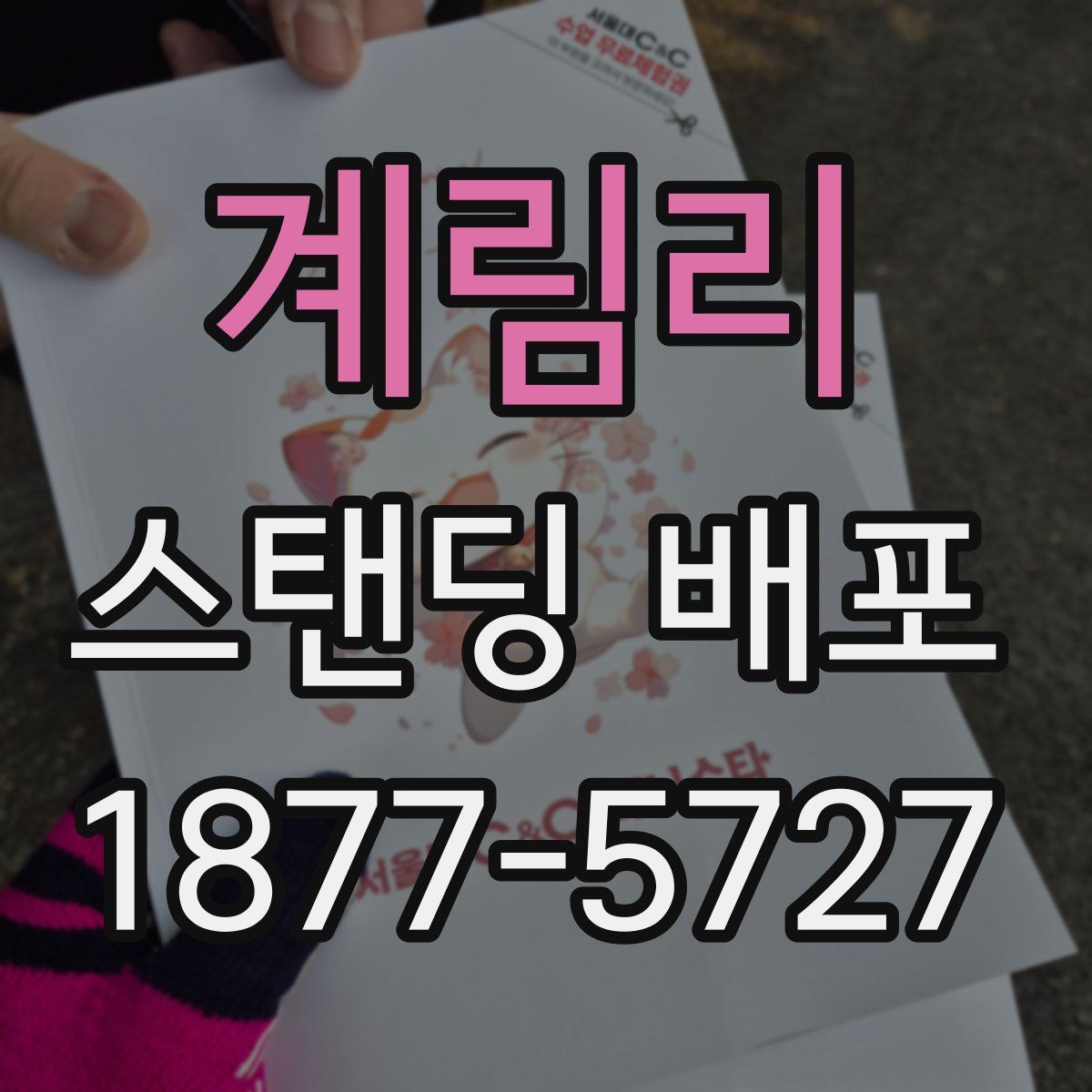 계림리 스탠딩 배포