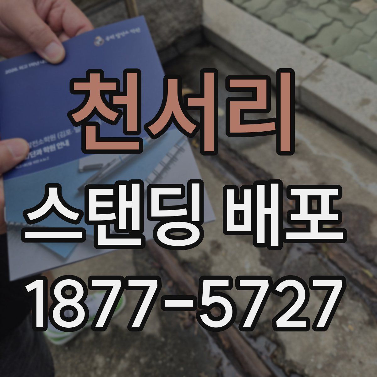 천서리 스탠딩 배포