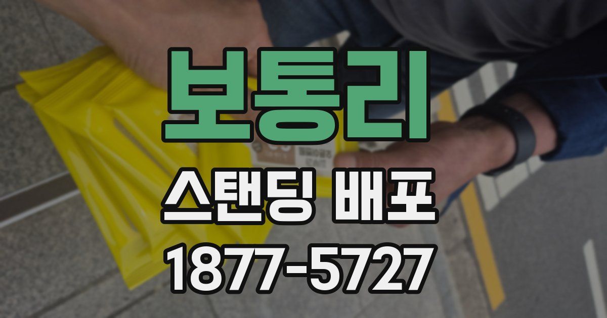 보통리 스탠딩 배포
