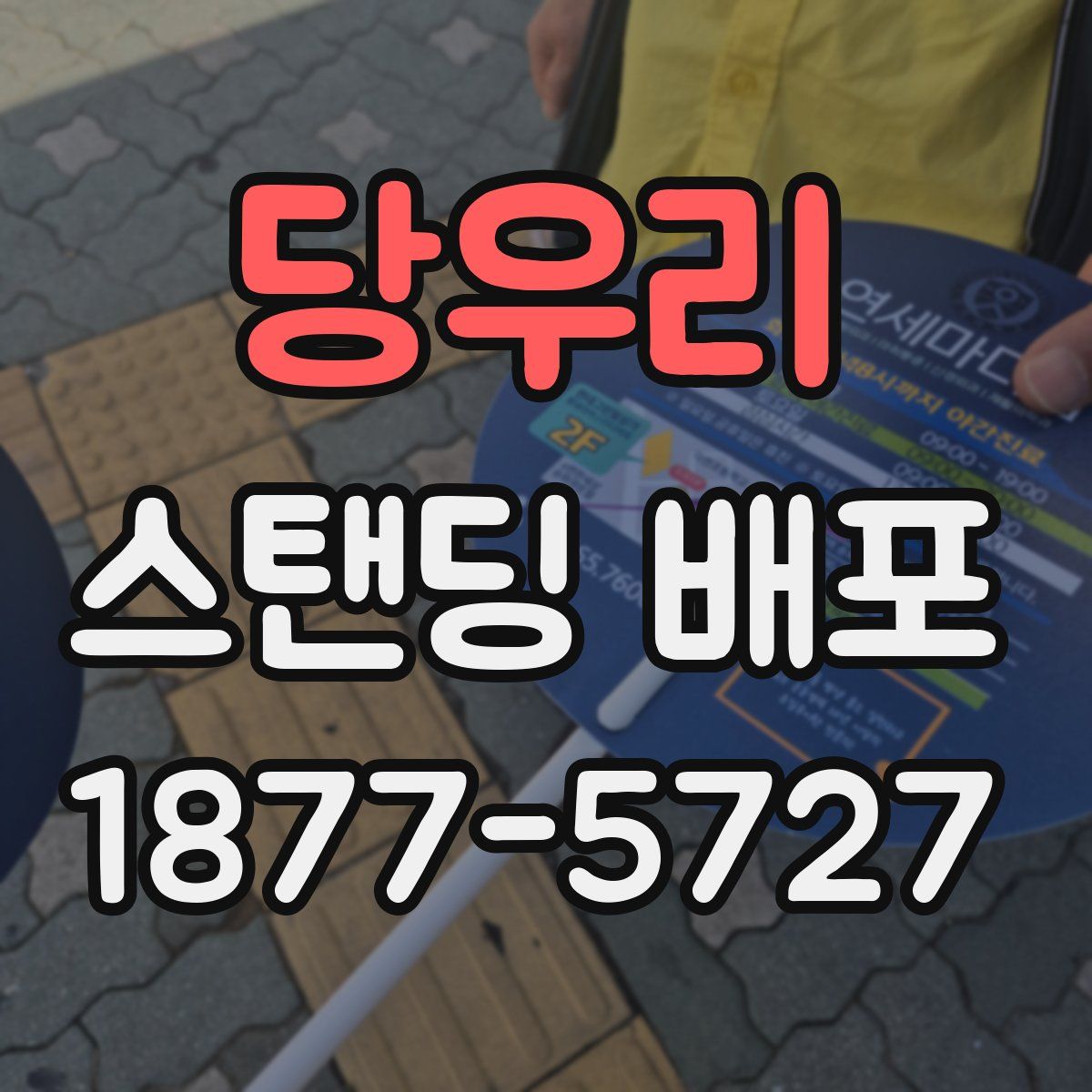 당우리 스탠딩 배포