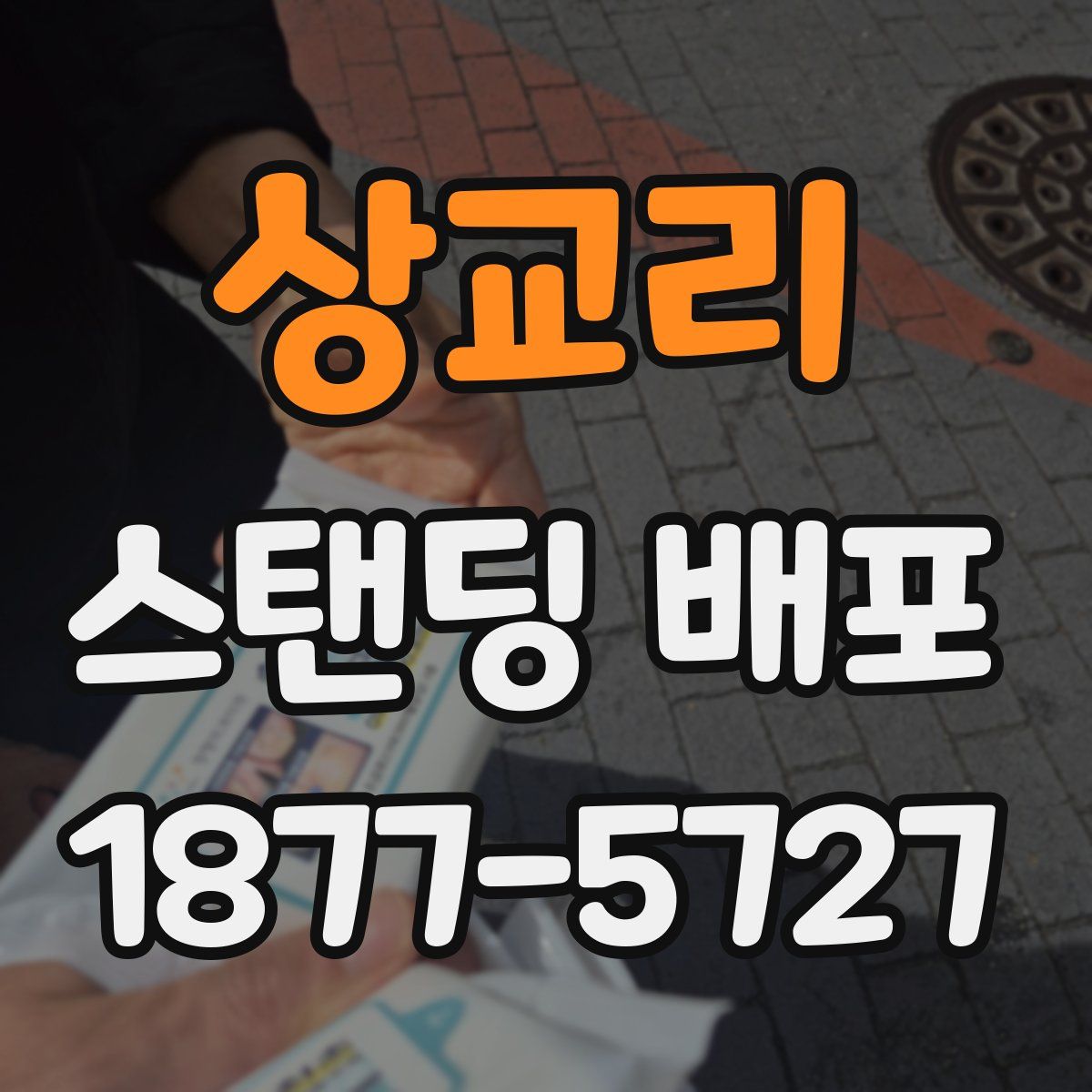 상교리 스탠딩 배포