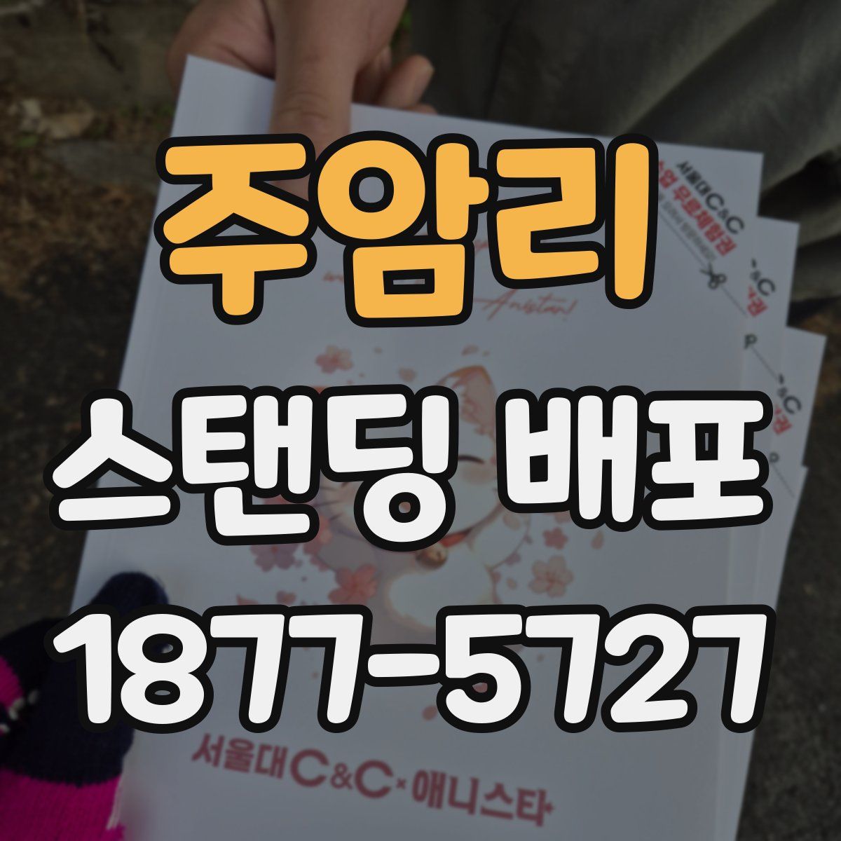 주암리 스탠딩 배포