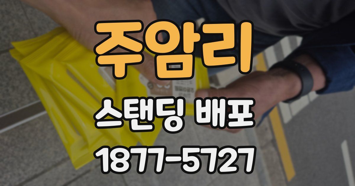 주암리 스탠딩 배포