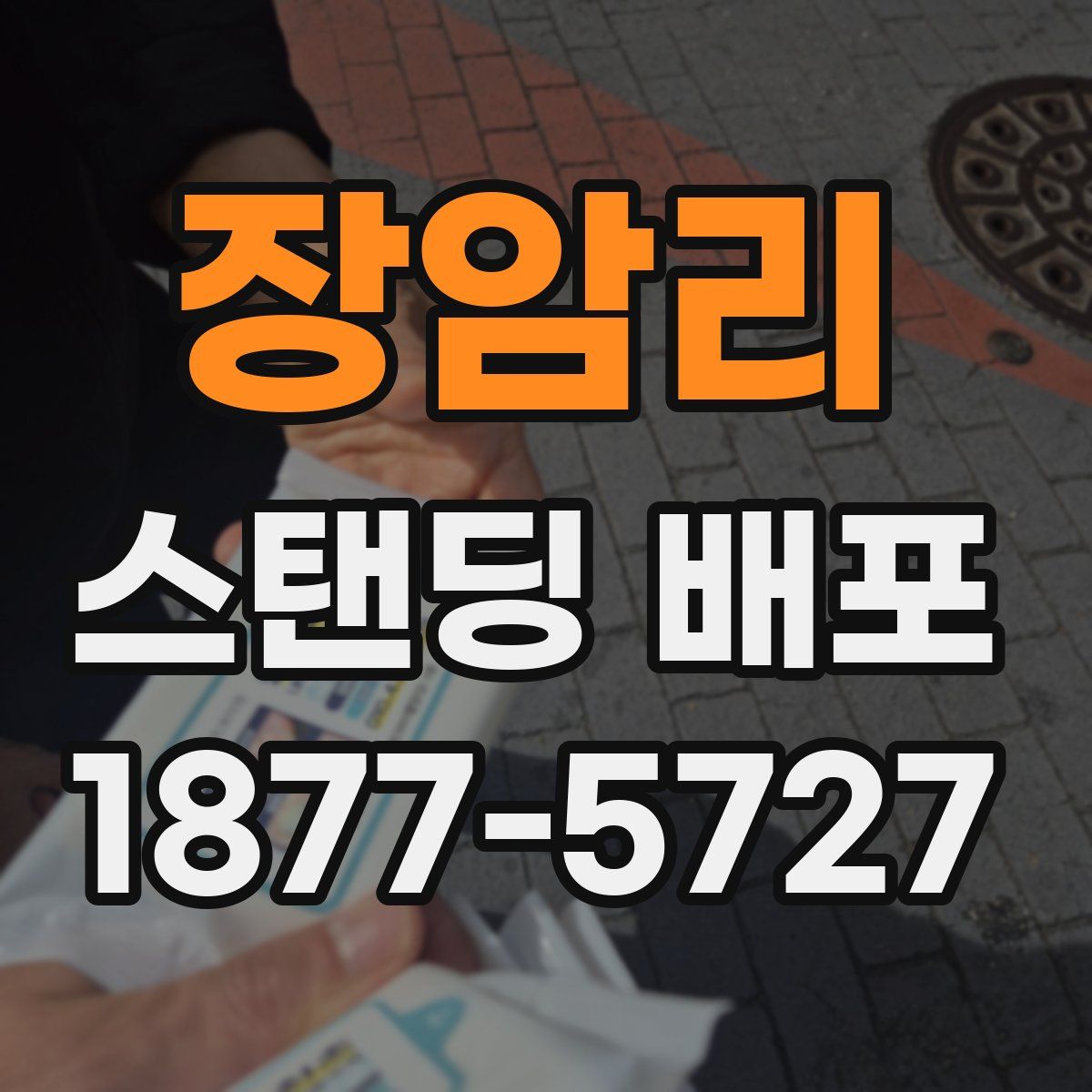 장암리 스탠딩 배포