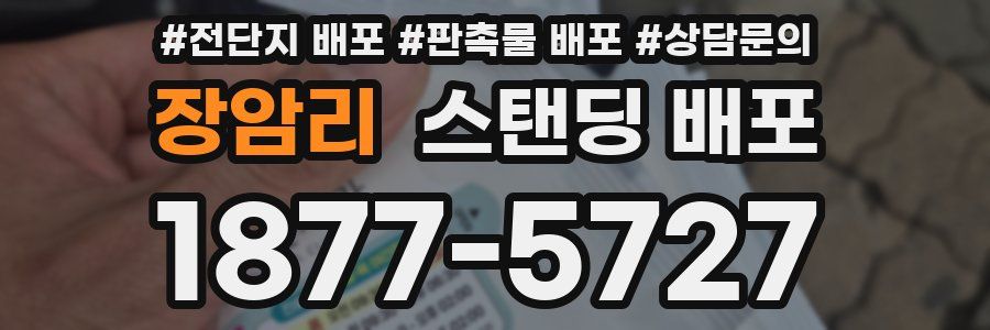 장암리 스탠딩 배포
