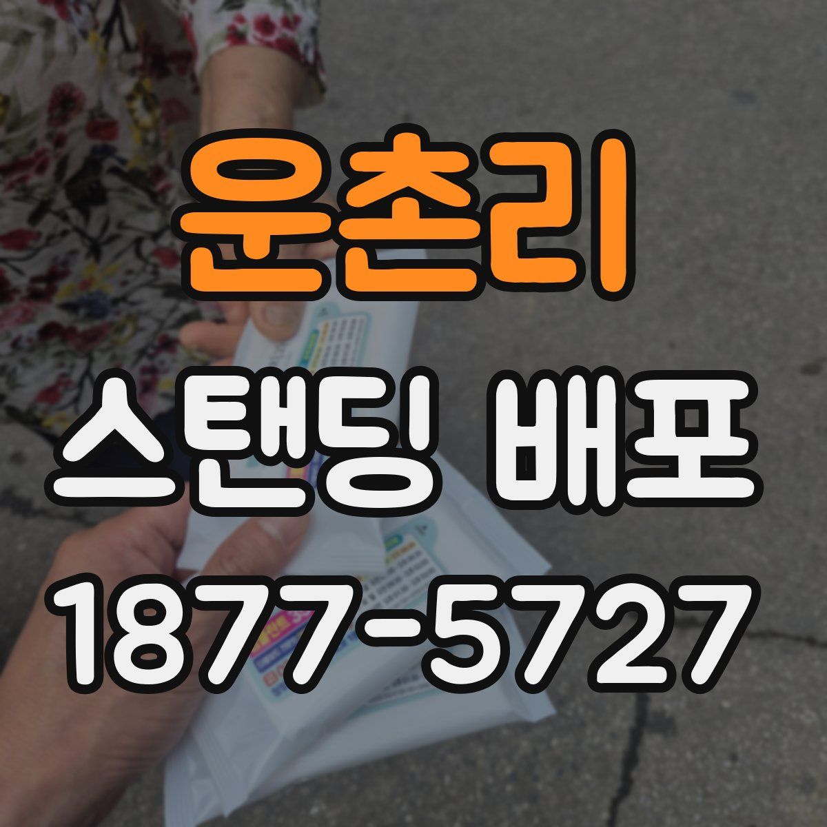 운촌리 스탠딩 배포
