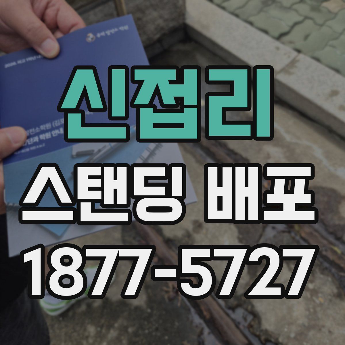 신접리 스탠딩 배포